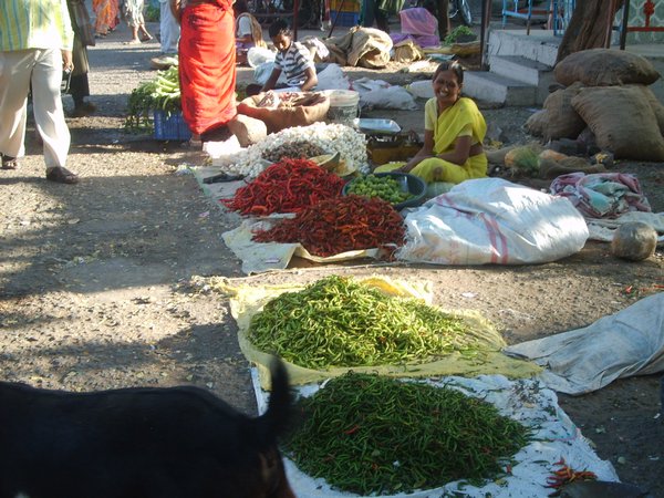 Typical Market
