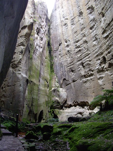 Carnarvon Gorge 2