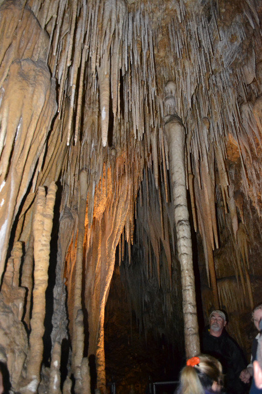 Hastings Caves 