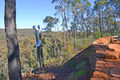  Pilliga State Forest Sculptures track 