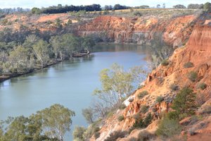 Murray River from Paringa Lookout