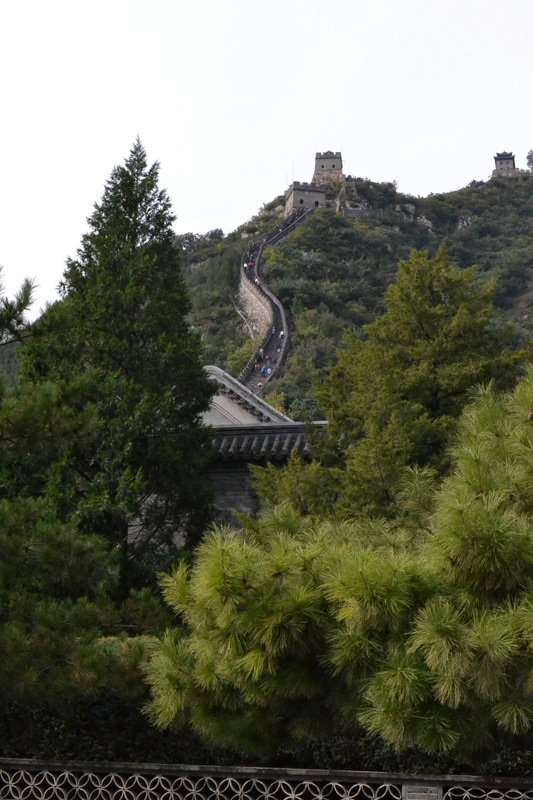Great Wall Walk 