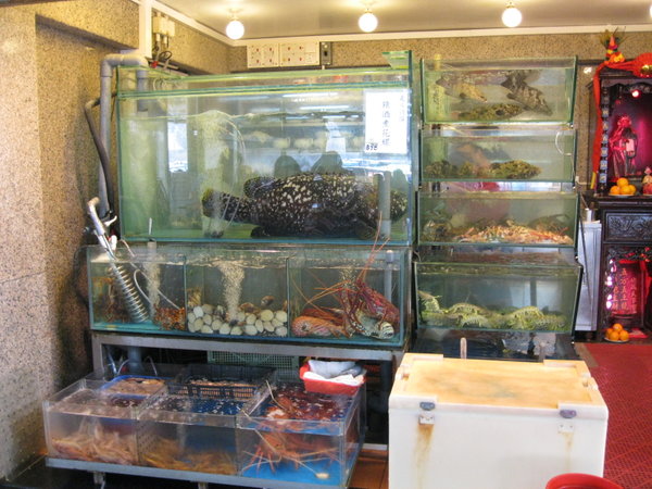 A typical seafood restaurant display