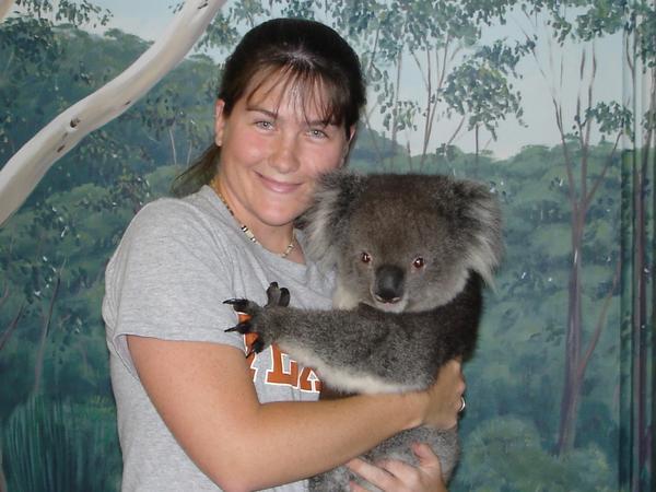 Abby the koala.