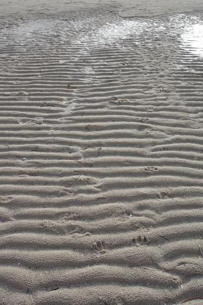 Ripples in the Sand.