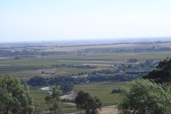 View of Barossa Valley.