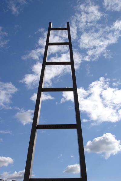 Ladder at the Park.