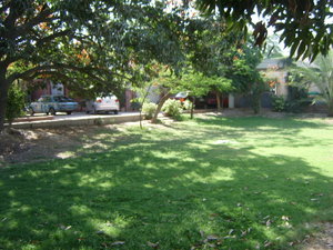 Another view of the garden