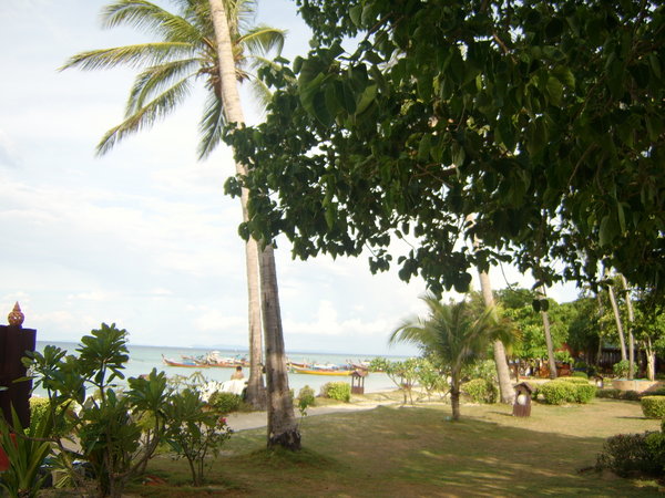 The beach area