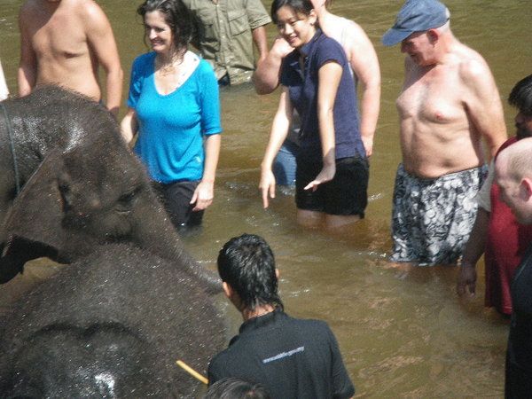 In the water with the elephants