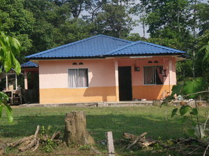 A local home in the jungle