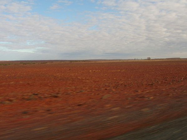 Barren landscape
