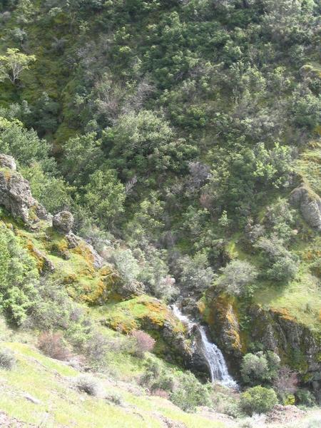 Mt Diablo waterfall 2