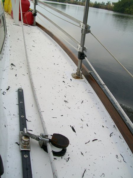 Ash on Boat