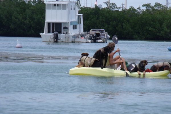 Kayak with 4 dogs