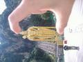 The batu caves that I forgot to speak about