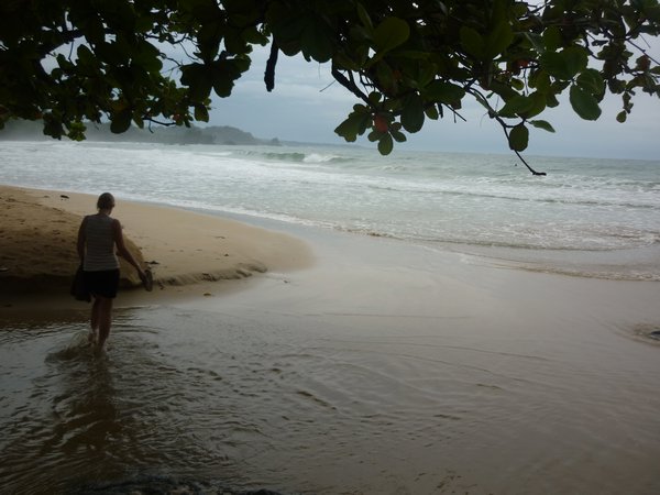 Beautiful caribbean Beach