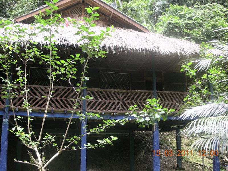 Our hut in the jungle