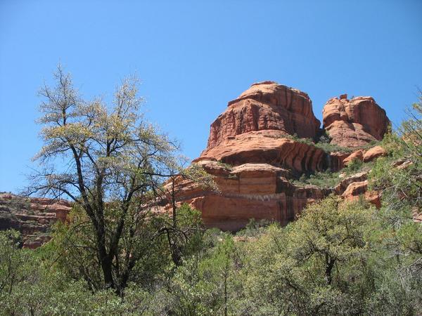Another view from the Boynton Canyon Trail