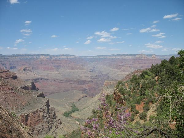 Another Canyon view