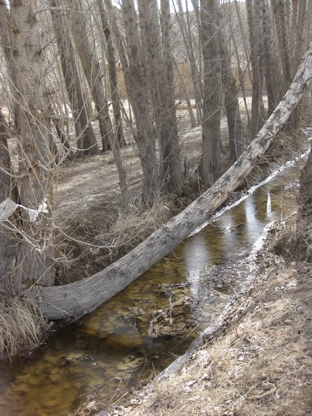 Frozen creek