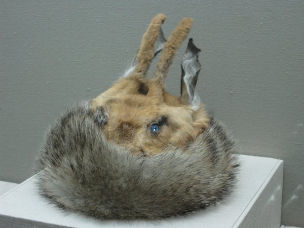 Rabbit Hat