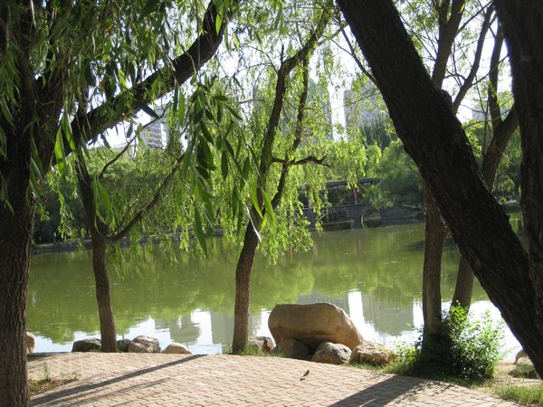 Park lake