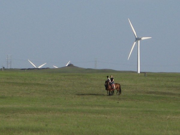Out on the (windmill) farm