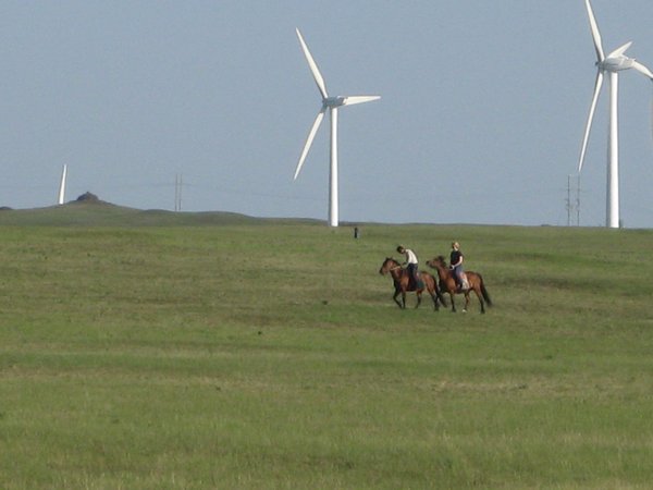 Cantering through field near windmill farm