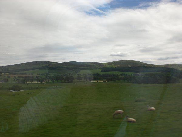the countryside on the train ride home