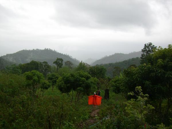 Regenschutz im Regenwald