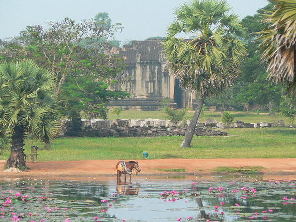 Around Angkor Wat  