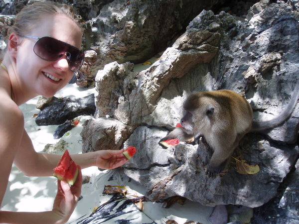 Feeding monkeys on 'Monkey Beach'!