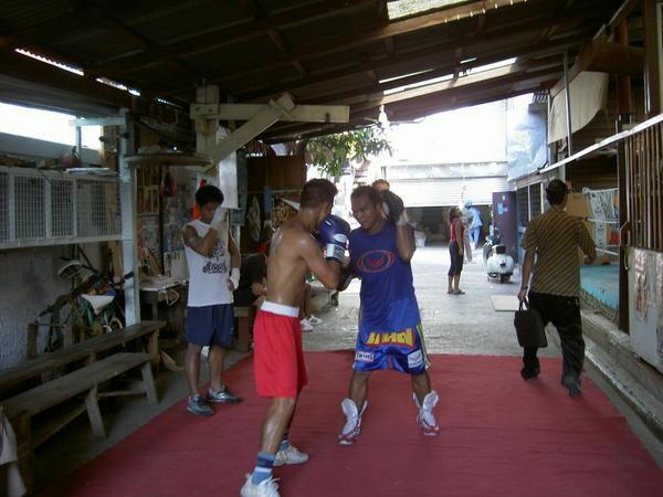 Thai boxing training place