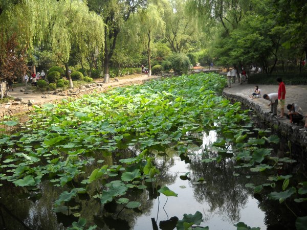 Public Park in Shanghai