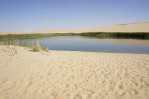 Cold lake in the desert
