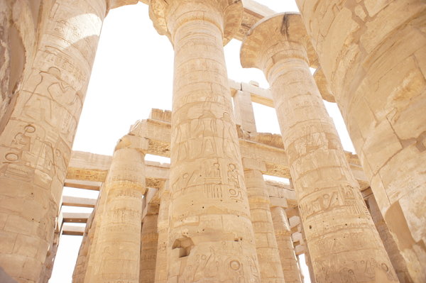 The columns 