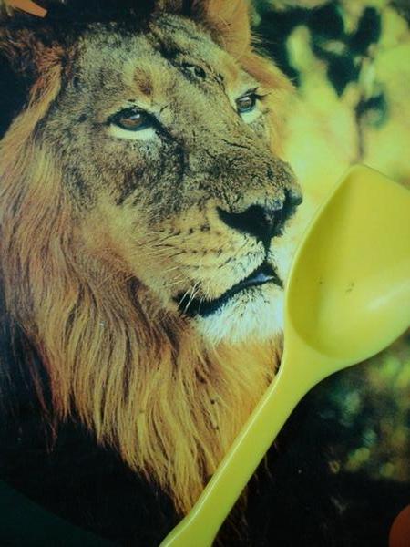 Spoon on Safari