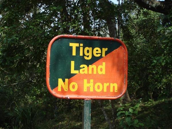 Tiger Land!