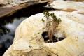 Porcupine Gorge hole