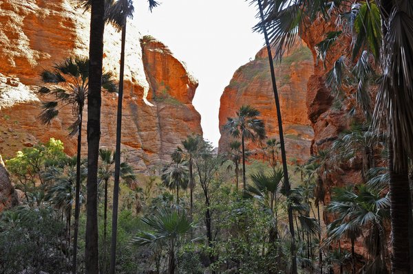 Looking-back-in-Palm-Gorge