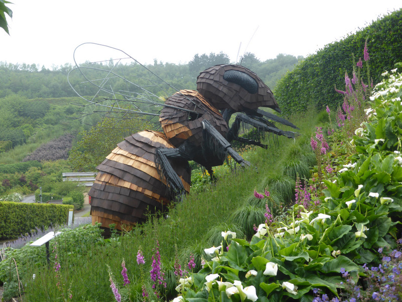 They breed big bees at The Eden Project!