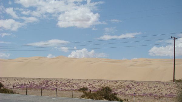 Massive Sand Dunes in the Imperial Valley