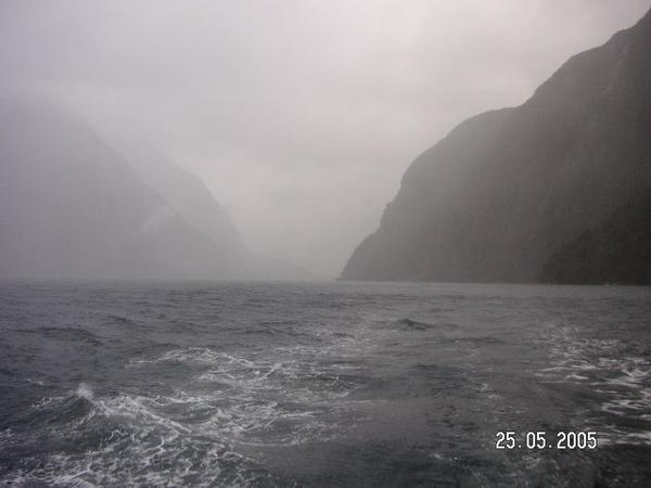 On a boat in Milford Sound