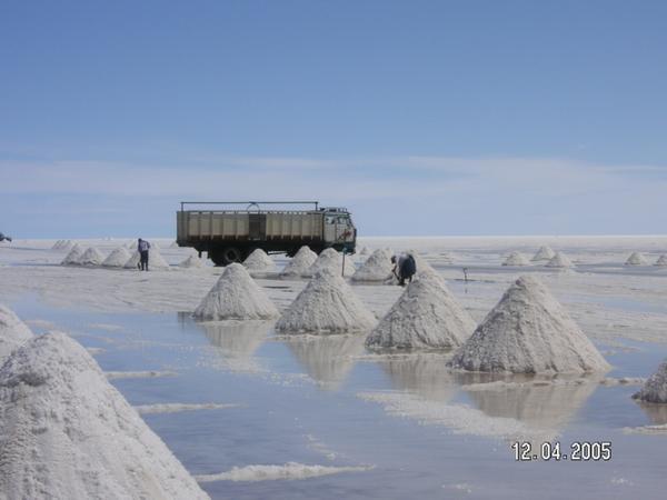 The salt being dug up and dried...