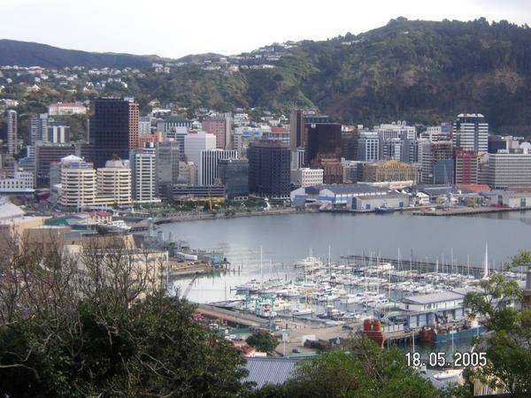 Wellington from (well, halfway up!) Mount Victoria...
