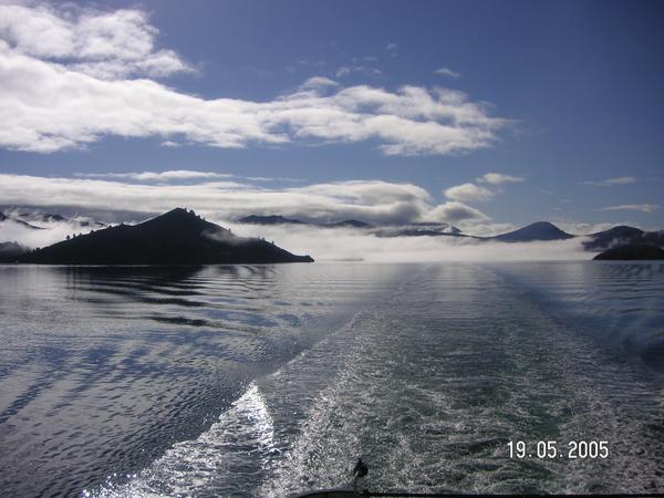 View from the ferry as the South Island approaches....