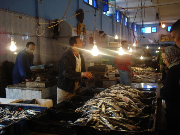 Marché de poisson à Bizerte