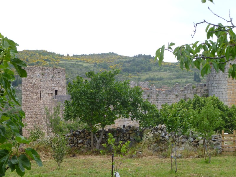 Château de Villerouge Termenès