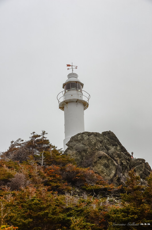 Lighthouse - Gros Morne #2